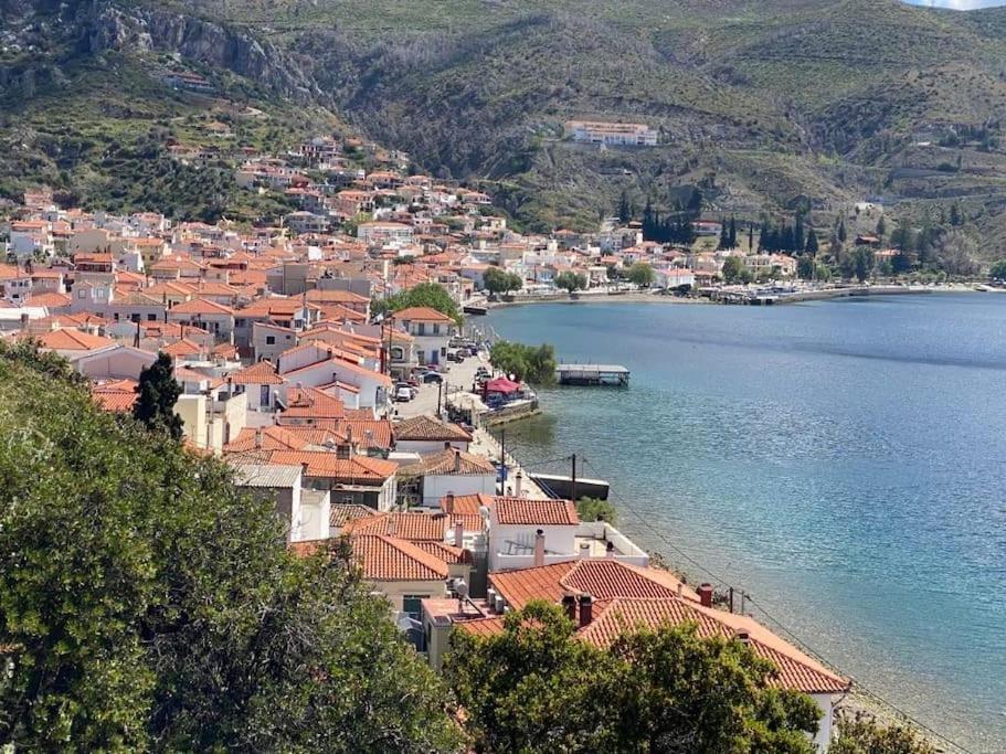κοράλι, παραλία λίμνης Dom wakacyjny Límni